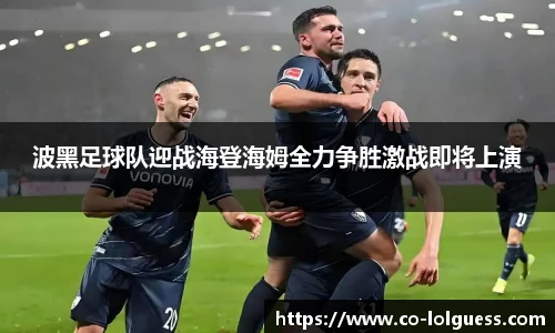 波黑足球队迎战海登海姆全力争胜激战即将上演